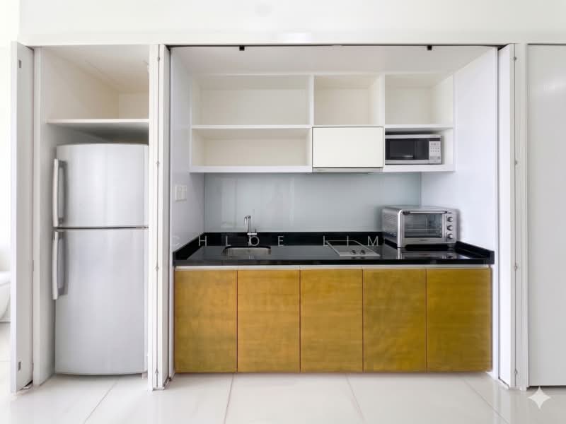 Citylights, 88 Jellicoe Road, 1 Bedroom, 570 sqft, Condominium For Rent, by Chloe Lim, 500153430 - Kitchen - PropertyGuru.com.sg