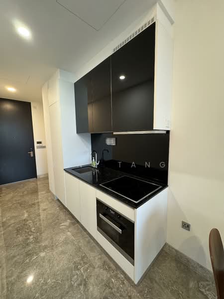 Martin Modern, 10 Martin Place, 2 Bedrooms, 764 sqft, Apartment For Sale, by King Tang, 500153554 - Kitchen - PropertyGuru.com.sg