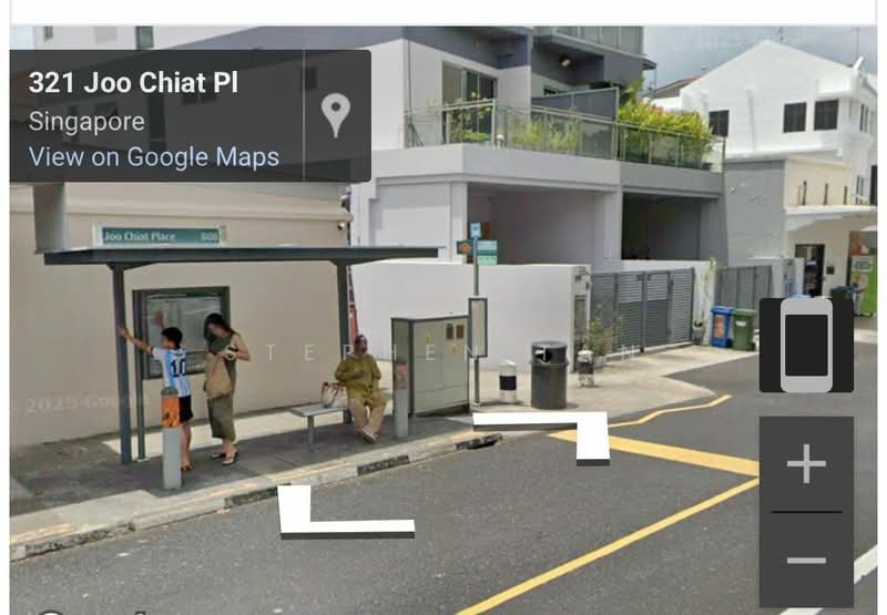 Joo Chiat Place, , Room Rental, 300 sqft, Detached House For Rent, by Stephen Tan, 500153789 - Exterior - PropertyGuru.com.sg