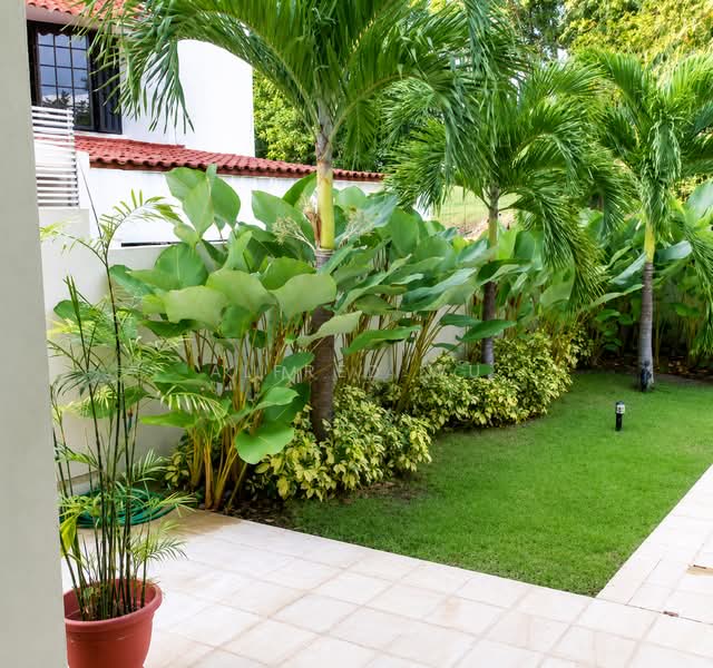 🏡✨Coronation Road - Walk to Nanyang 南洋小学旁罕有洋房 ✨🏡, , 7 Bedrooms, 6,458 sqft, Detached House For Sale, by Alfred Wu, 500153913 - Garden - PropertyGuru.com.sg