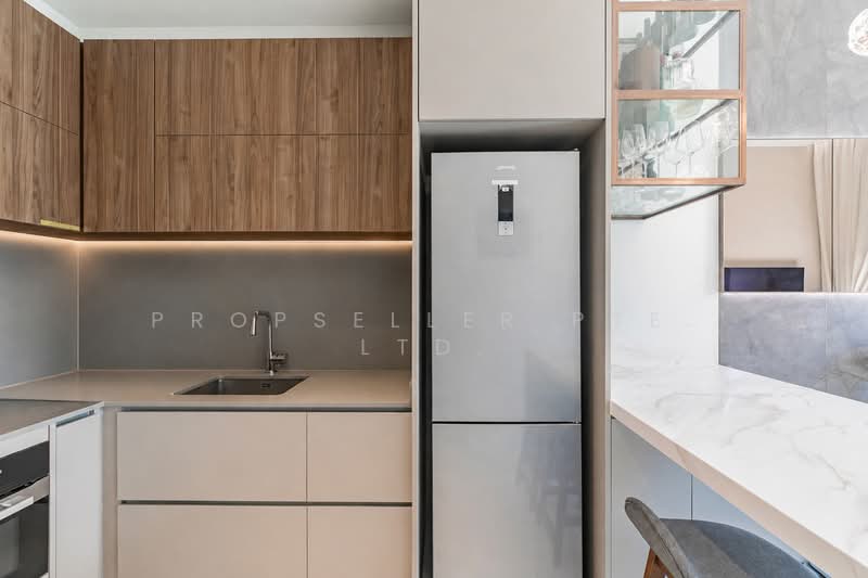Parksuites, 22 Holland Grove Road, 2 Bedrooms, 700 sqft, Condominium For Sale, by Kit Toh, 500154109 - Kitchen - PropertyGuru.com.sg