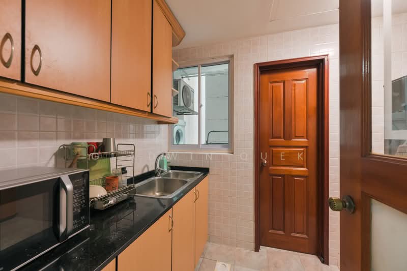 Freehold 3 Bedrooms River Valley, , 3 Bedrooms, 936 sqft, Apartment For Sale, by Gladwin Quek, 500154251 - Kitchen - PropertyGuru.com.sg