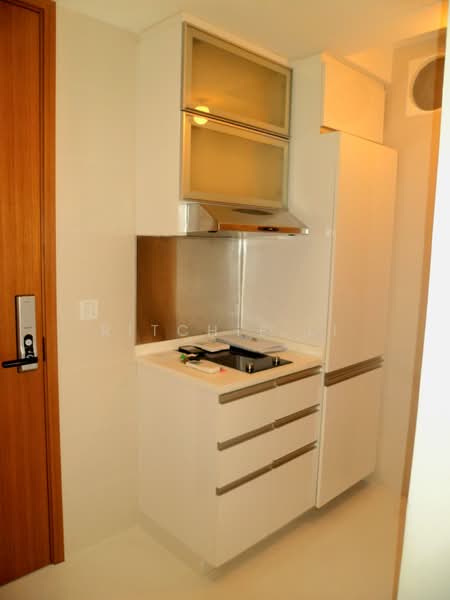 RV Suites, 396 River Valley Road, 2 Bedrooms, 603 sqft, Apartment For Sale, by Ritchie Li, 500154358 - Kitchen - PropertyGuru.com.sg