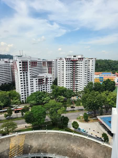 290F Bukit Batok Street 24, 290F Bukit Batok Street 24, 3 Bedrooms, 1,302 sqft, HDB Flat For Sale, by Bernard Goh, 500154384 - Exterior - PropertyGuru.com.sg
