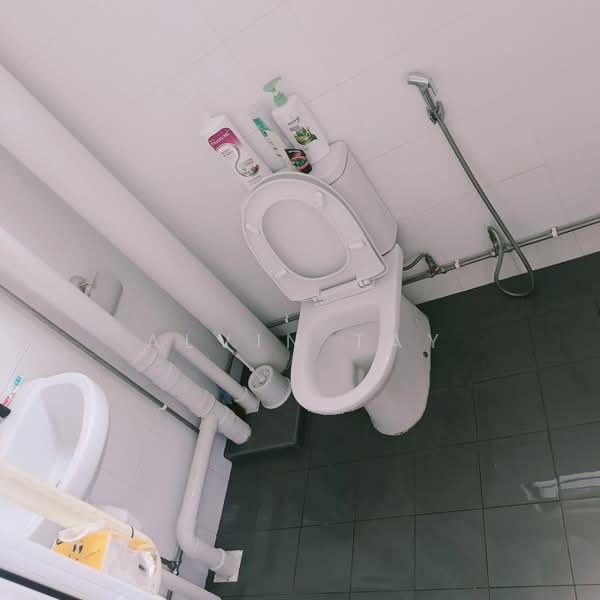 314 Ubi Avenue 1, 314 Ubi Avenue 1, 3 Bedrooms, 1,119 sqft, HDB Flat For Rent, by Alvin Tay, 500154629 - Bathroom - PropertyGuru.com.sg