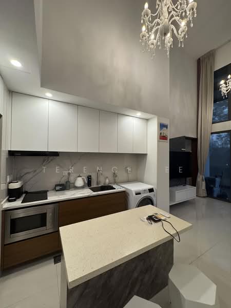 Miltonia Residences, 546 Miltonia Close, 1 Bedroom, 592 sqft, Condominium For Sale, by Terence Lee, 500155055 - Kitchen - PropertyGuru.com.sg