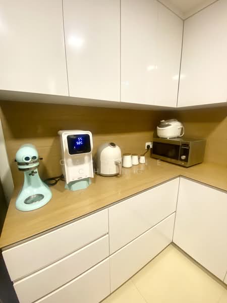 Springdale Condo, 53 Hindhede Walk, Room Rental, 200 sqft, Condominium For Rent, by Caroline Cheng, 500155560 - Kitchen - PropertyGuru.com.sg