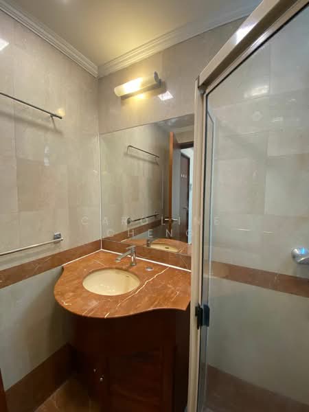Springdale Condo, 53 Hindhede Walk, Room Rental, 200 sqft, Condominium For Rent, by Caroline Cheng, 500155560 - Bathroom - PropertyGuru.com.sg