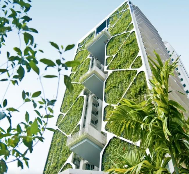 Tree House, 68 Chestnut Avenue, 4 Bedrooms, 1,249 sqft, Condominium For Sale, by KC Ng 黄庆宗, 500155900 - PropertyGuru.com.sg