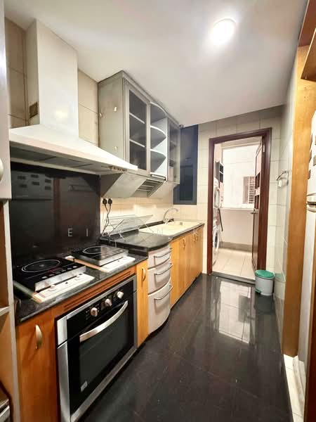 River Place, 62 Havelock Road, 2 Bedrooms, 969 sqft, Condominium For Rent, by Eileen Koh, 500156232 - Kitchen - PropertyGuru.com.sg