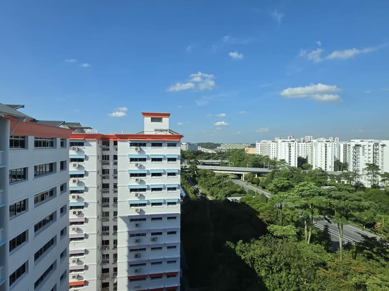 509 Choa Chu Kang Street 51, 509 Choa Chu Kang Street 51, 4 Bedrooms, 1,431 sqft, HDB Flat For Sale, by Jeremy Peh, 500156251 - Exterior - PropertyGuru.com.sg