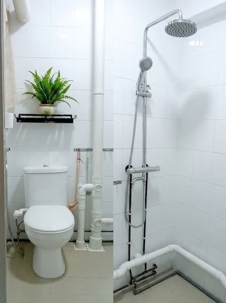 522 Bedok North Avenue 1, 522 Bedok North Avenue 1, Room Rental, 150 sqft, HDB Flat For Rent, by Winfred Quek, 500156337 - Bathroom - PropertyGuru.com.sg