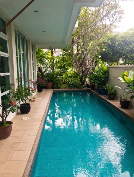 Shamrock Park, 89 Namly Place, 5 Bedrooms, 4,400 sqft, Semi-Detached House For Rent, by Shirley Krans, 500156413 - Pool - PropertyGuru.com.sg