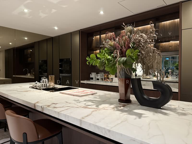 Newport Residences, 80 Anson Road, 4 Bedrooms, 2,067 sqft, Apartment For Sale, by Dave Sear, 500156503 - Kitchen - PropertyGuru.com.sg