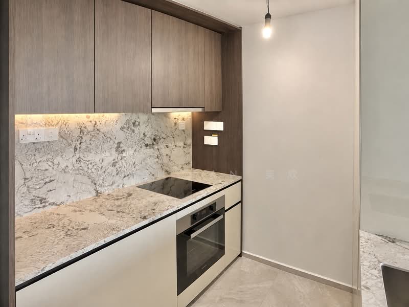 Tembusu Grand, 96 Jalan Tembusu, 2 Bedrooms, 667 sqft, Condominium For Sale, by John Tan 奕欣, 500156568 - Kitchen - PropertyGuru.com.sg