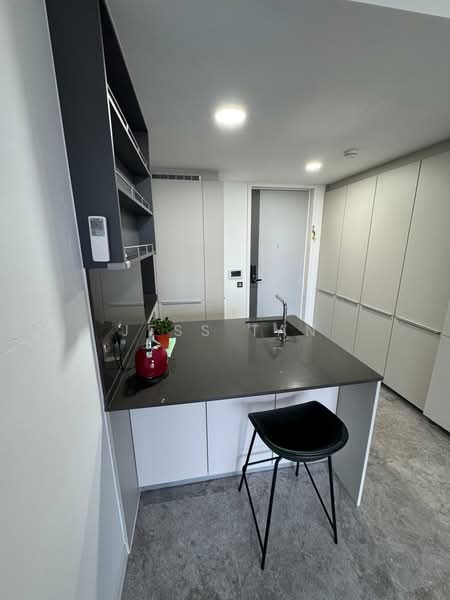 Riviere, 3 Jiak Kim Street, 1 Bedroom, 560 sqft, Condominium For Sale, by Jess Tan, 500156574 - Kitchen - PropertyGuru.com.sg
