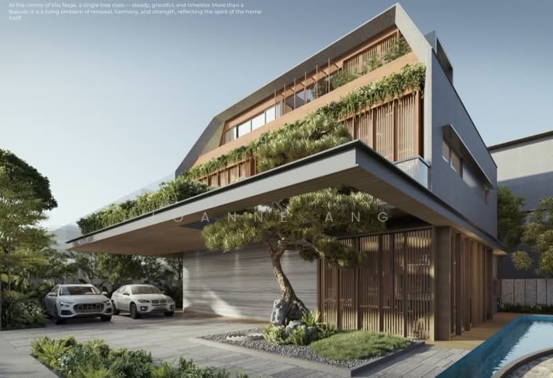 1KM to RGPS; 400M to Sixth Ave MRT. Brand New Freehold Detached, Vanda Road / Jalan Naga Sari / Dunearn Road, 5 Bedrooms, 8,340 sqft, Detached House For Sale, by Joanne Ang, 500156855 - Exterior - PropertyGuru.com.sg