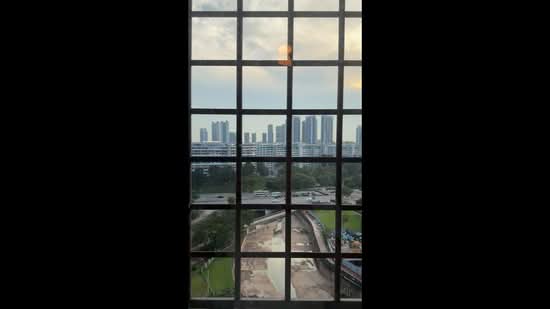 Pine Grove, 1A Pine Grove, Room Rental, 250 sqft, Condominium For Rent, by Winfred Quek, 500156901 - PropertyGuru.com.sg