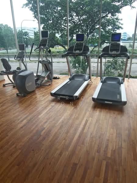 The Riverine By The Park, 398 Kallang Road, 2 Bedrooms, 980 sqft, Apartment For Rent, by Derrick Wong, 500157063 - Gym - PropertyGuru.com.sg