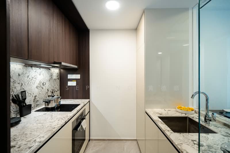 Tembusu Grand, 94 Jalan Tembusu, 2 Bedrooms, 743 sqft, Condominium For Sale, by Joseph Ng 黄德顺, 500157184 - Kitchen - PropertyGuru.com.sg