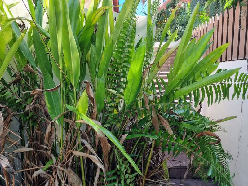 Land @ Goodman Area for Redevelopment, Mountbatten Goodman Broadrick, 3 Bedrooms, 2,000 sqft, Detached House For Sale, by Keith Lim, 500157329 - PropertyGuru.com.sg