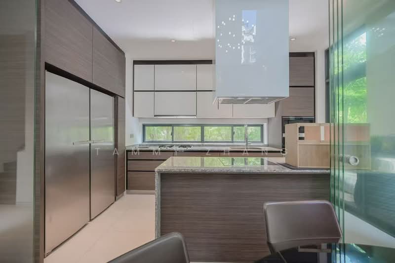 Goodwood Grand, 16 Balmoral Road, 4 Bedrooms, 5,404 sqft, Apartment For Sale, by Tammy Zhang, 500157598 - Kitchen - PropertyGuru.com.sg