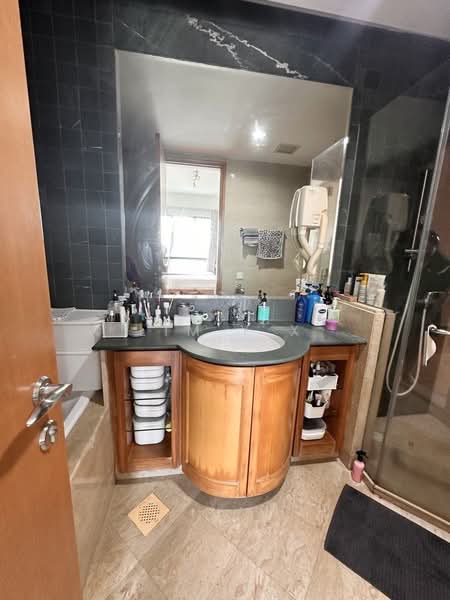 The Tessarina, 20 Wilby Road, 3 Bedrooms, 1,012 sqft, Condominium For Rent, by Lim Y X, 500157966 - Bathroom - PropertyGuru.com.sg