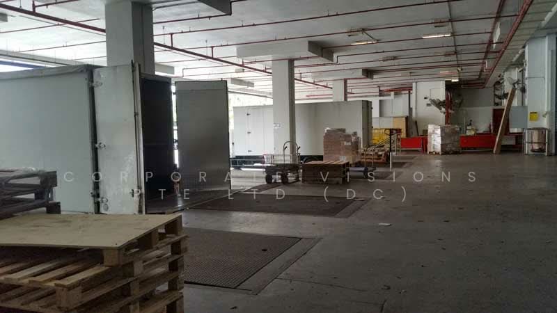 Warehouse in Changi South for Rent, Changi South, 17,000 sqft, Warehouse For Rent, by DENNIS CHENG, 500157995 - Interior - CommercialGuru.com.sg