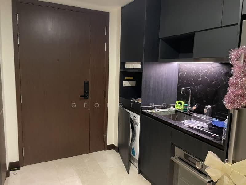 Dunearn 386, 386 Dunearn Road, 1 Bedroom, 452 sqft, Condominium For Rent, by George Ng, 500158164 - Kitchen - PropertyGuru.com.sg