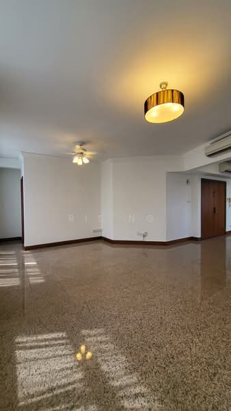 River Place, 60 Havelock Road, 4 Bedrooms, 3,649 sqft, Condominium For Rent, by Ris Ng, 500158249 - Living Room - PropertyGuru.com.sg