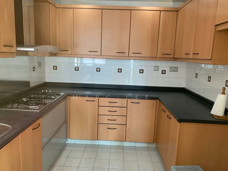 Tiara, 1 Kim Seng Walk, 3 Bedrooms, 1,281 sqft, Apartment For Sale, by Marc Lee, 500158430 - Kitchen - PropertyGuru.com.sg