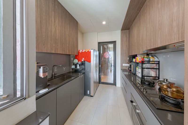 Leonie Hill Residences, 1 Leonie Hill Road, 3 Bedrooms, 1,410 sqft, Apartment For Sale, by Joey Sun Huiyi 孙蕙怡, 500158500 - Kitchen - PropertyGuru.com.sg