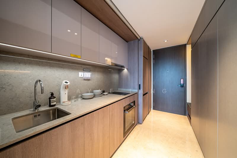 Avenue South Residence, 13 Silat Avenue, 1 Bedroom, 527 sqft, Condominium For Sale, by Wayne Tang, 500158611 - Kitchen - PropertyGuru.com.sg