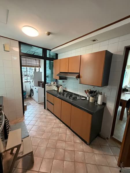 Spring Grove, 53A Grange Road, 3 Bedrooms, 1,388 sqft, Condominium For Rent, by Tina Jethmal, 500158882 - Kitchen - PropertyGuru.com.sg