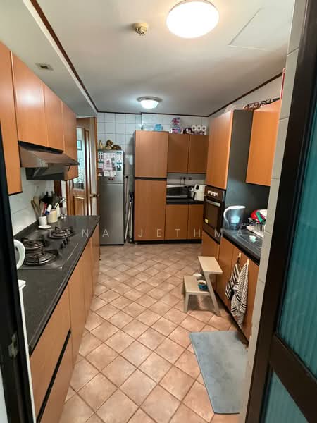 Spring Grove, 53A Grange Road, 3 Bedrooms, 1,388 sqft, Condominium For Rent, by Tina Jethmal, 500158882 - Kitchen - PropertyGuru.com.sg