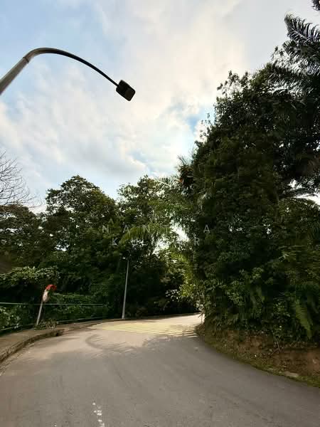 Cluny Park, Cluny Park, 4 Bedrooms, 2,999 sqft, Detached House For Sale, by Nantha Kumar, 500159039 - Exterior - PropertyGuru.com.sg