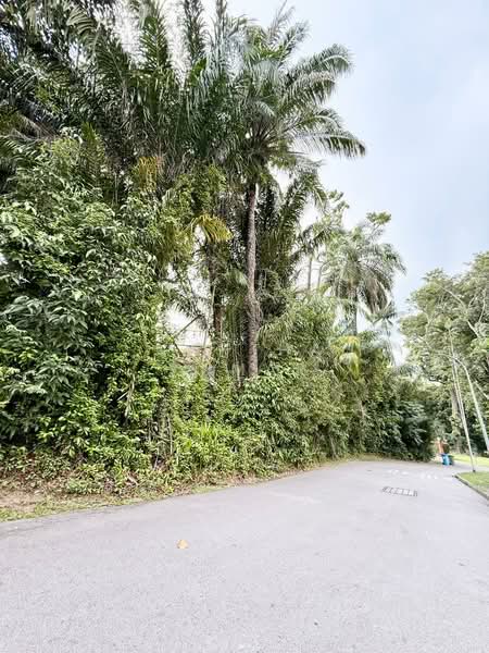 Cluny Park, Cluny Park, 4 Bedrooms, 2,999 sqft, Detached House For Sale, by Nantha Kumar, 500159039 - Exterior - PropertyGuru.com.sg