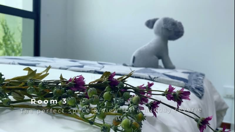 Harbourlights, 66 Telok Blangah Road, Room Rental, 200 sqft, Apartment For Rent, by Ethan Lim, 500159571 - Bedroom - PropertyGuru.com.sg