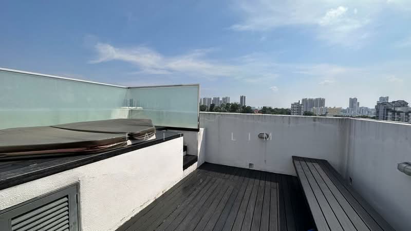 Duet, 78 Holland Road, 4 Bedrooms, 3,509 sqft, Condominium For Rent, by Faith Lim, 500160010 - Roof - PropertyGuru.com.sg