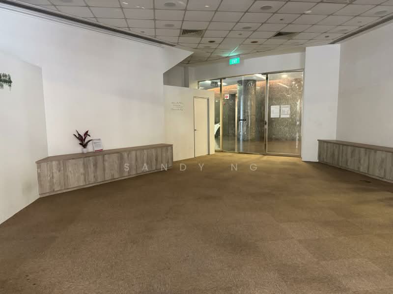 Prime Orchard Road Facing Retail, , 958 sqft, Other Retail For Rent, by Sandy Ng, 500160259 - Entrance - CommercialGuru.com.sg