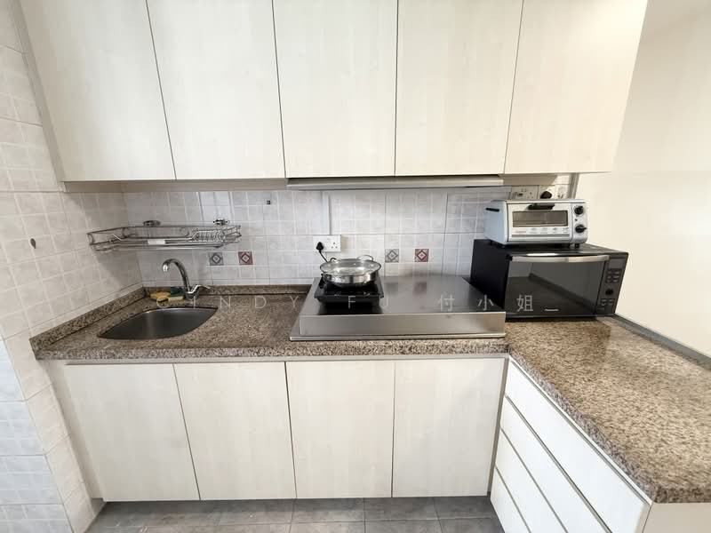 Birmingham Mansions, 130 Thomson Road, Room Rental, 100 sqft, Apartment For Rent, by Cindy Fu 付小姐, 500160389 - Kitchen - PropertyGuru.com.sg
