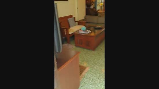 235 Lorong 8 Toa Payoh, 235 Lorong 8 Toa Payoh, Balestier / Toa Payoh, 2 Bedrooms, 700 sqft, HDB Flat For Sale, by Lawrence Loh, 500160393 - PropertyGuru.com.sg