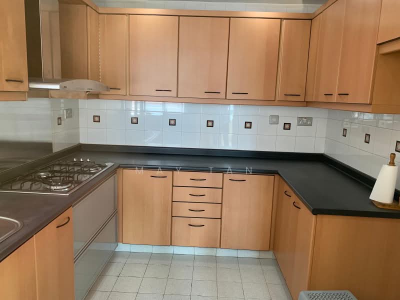 Tiara, 1 Kim Seng Walk, 3 Bedrooms, 1,281 sqft, Apartment For Sale, by May Tan, 500160549 - Kitchen - PropertyGuru.com.sg