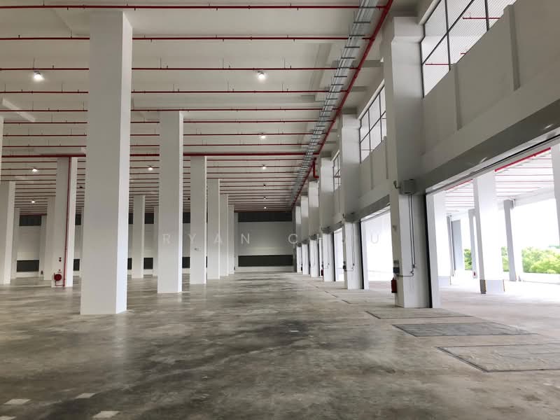 Ground | 32 Bays | 11m Clear | Optional Yard, , 148,000 sqft, Warehouse For Rent, by Ryan Chau, 500160707 - Interior - CommercialGuru.com.sg