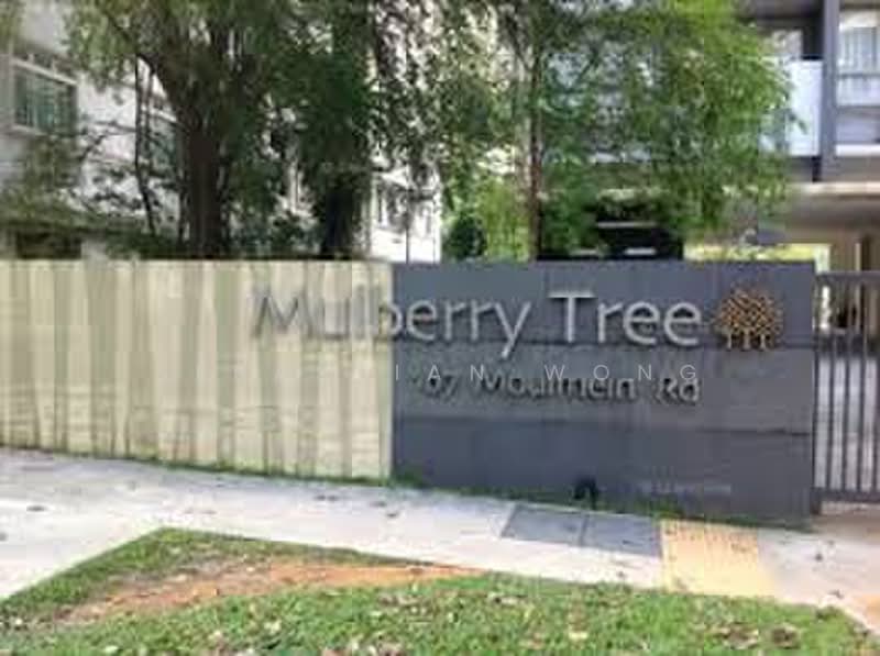 Mulberry Tree, 167 Moulmein Road, 2 Bedrooms, 1,270 sqft, Apartment For Rent, by Sebastian Wong, 500160717 - Exterior - PropertyGuru.com.sg