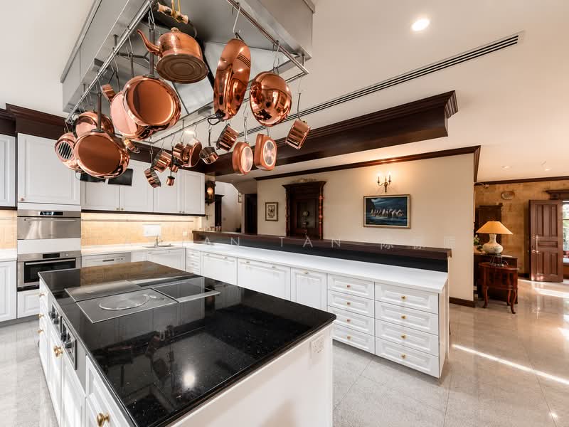 ⭐️RARE 2-STY DETACHED HSE IN CHESTNUT GCBA | WITHIN 1KM TO 3 PRIMARY SCHOOLS | NEAR CASHEW MRT⭐️, Chestnut Crescent Cashew Almond Jalan Pakis Suasa Emas Urai Hazel Park Siap Tekad Asas Tumpu Uji Dermawan Kakatua Layang Selanting Tham Soong Kismis Yuk Tong Sunset Eng Kong Cheng Soon Faber Moonbeam Sinai Greenleaf Ming Teck Jelita Holland Hua Guan, 6 Bedrooms, 8,500 sqft, Detached House For Sale, by Damian Tan 陈係赈, 500160819 - Kitchen - PropertyGuru.com.sg
