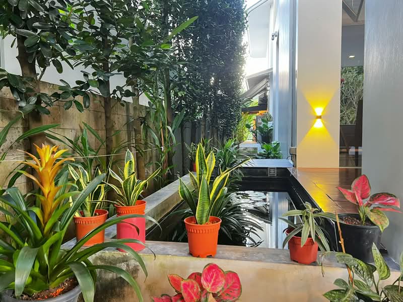 ❤️Price Reduced $1M⭐️Well Renovated⭐️with lift⭐️Fiona 国凤 8218☎️5108, Jalan Jambu Ayer, Jalan Jambu Mawar, Jalan Jambu Batu, Stone Avenue, Bee San Avenue, Din Pang Avenue, Hua Guan Avenue, Hua Guan Crescent, Sian Tuan Avenue, 5 Bedrooms, 6,000 sqft, Detached House For Sale, by Fiona Yin 国凤, 500160856 - Garden - PropertyGuru.com.sg