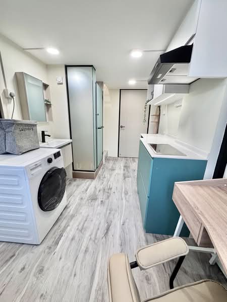 River Valley, , Room Rental, 250 sqft, Shophouse For Rent, by punkin, 500160945 - Bathroom - PropertyGuru.com.sg