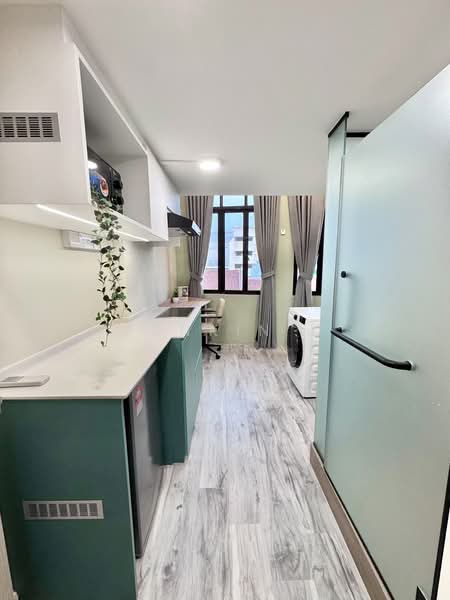 River Valley, , Room Rental, 250 sqft, Shophouse For Rent, by punkin, 500160945 - Kitchen - PropertyGuru.com.sg