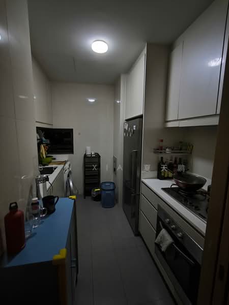 The Skywoods, 7 Dairy Farm Heights, 3 Bedrooms, 915 sqft, Condominium For Rent, by Ben XIA 夏天鹏, 500160965 - Kitchen - PropertyGuru.com.sg